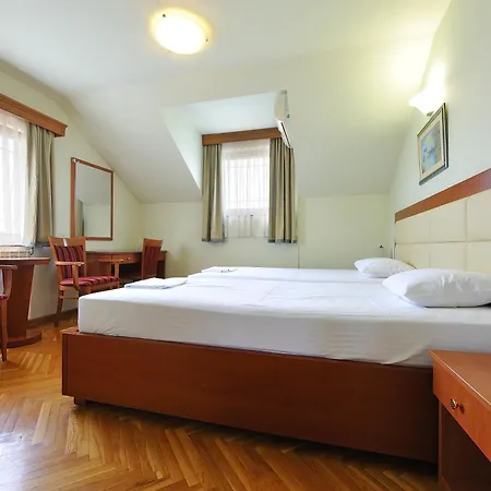 Sucevic Garni מלון